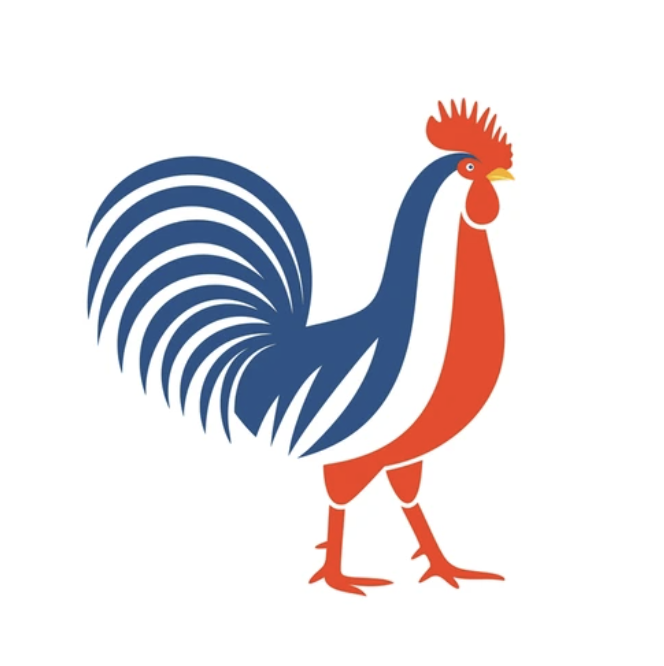 Pictogramme "Développé en France"